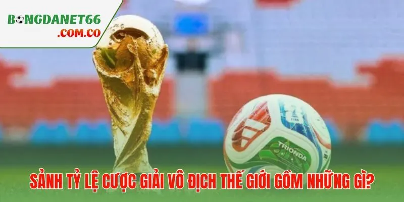 Hai trụ cột dữ liệu tạo nên bức tranh odds toàn diện
