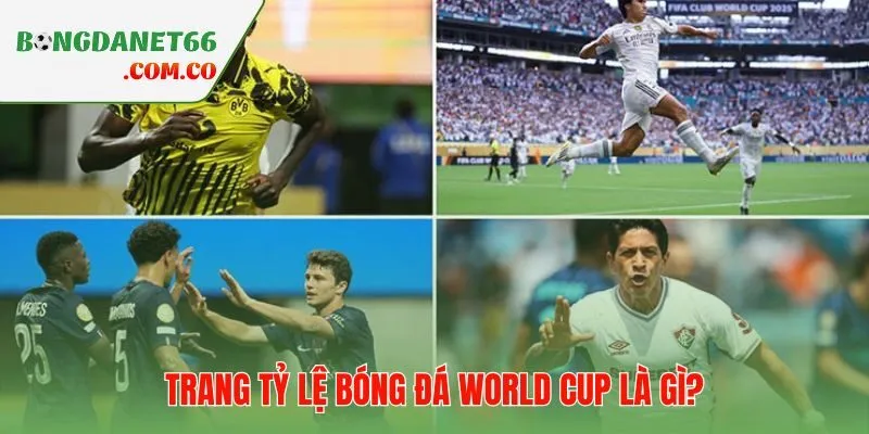 Tỷ lệ bóng đá World Cup hội tụ bốn khía cạnh trọng yếu