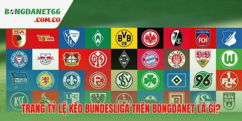 Tỷ lệ kèo Bundesliga quy tụ odds từ nhiều nhà cái về một sảnh