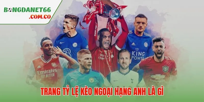 Sảnh odds Premier League lọc riêng dữ liệu cho 20 CLB giải Anh
