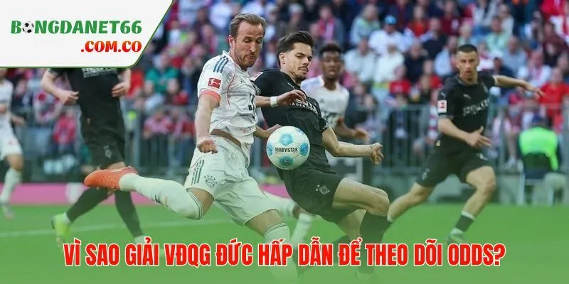 Pressing cường độ cao khiến odds bóng đá Đức luôn biến động