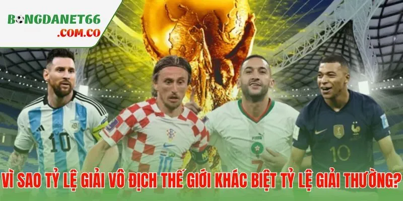 Năm tiêu chí phân biệt tỷ lệ bóng đá World Cup và giải hàng tuần
