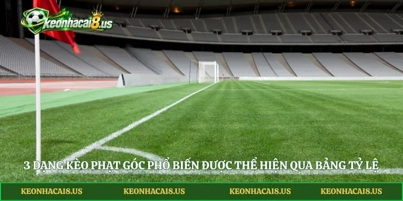 3 dạng kèo phạt góc phổ biến được thể hiện qua bảng tỷ lệ