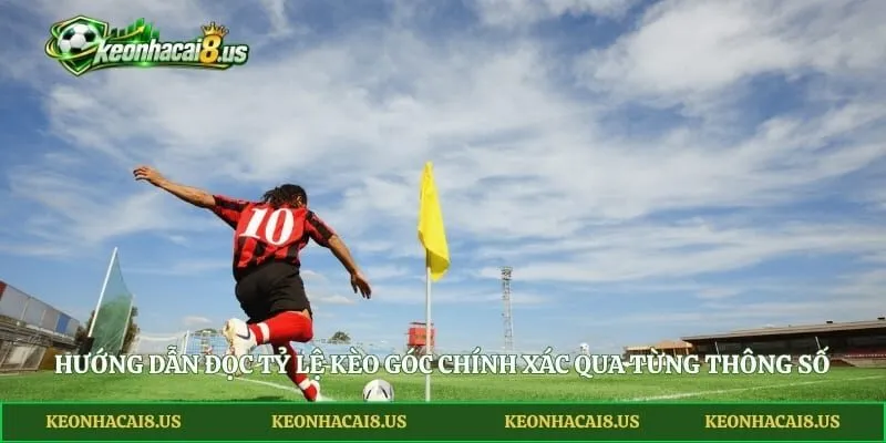 Hướng dẫn đọc tỷ lệ kèo góc chính xác qua từng thông số