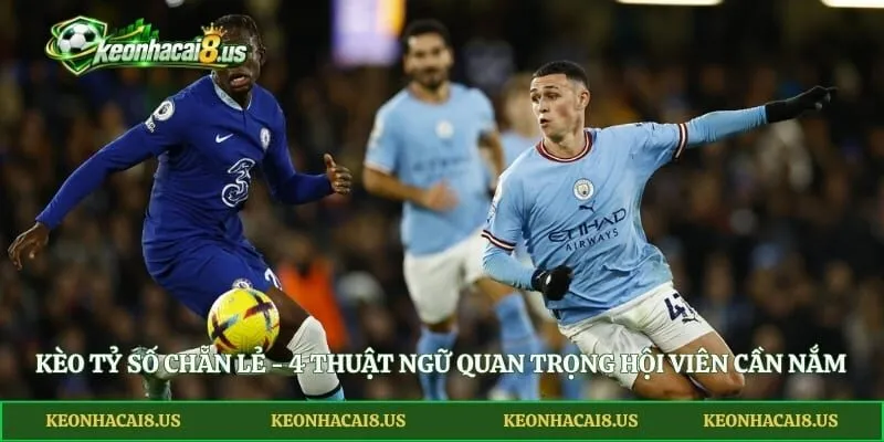 Kèo Tỷ Số Chẵn Lẻ - 4 Thuật Ngữ Quan Trọng Hội Viên Cần Nắm